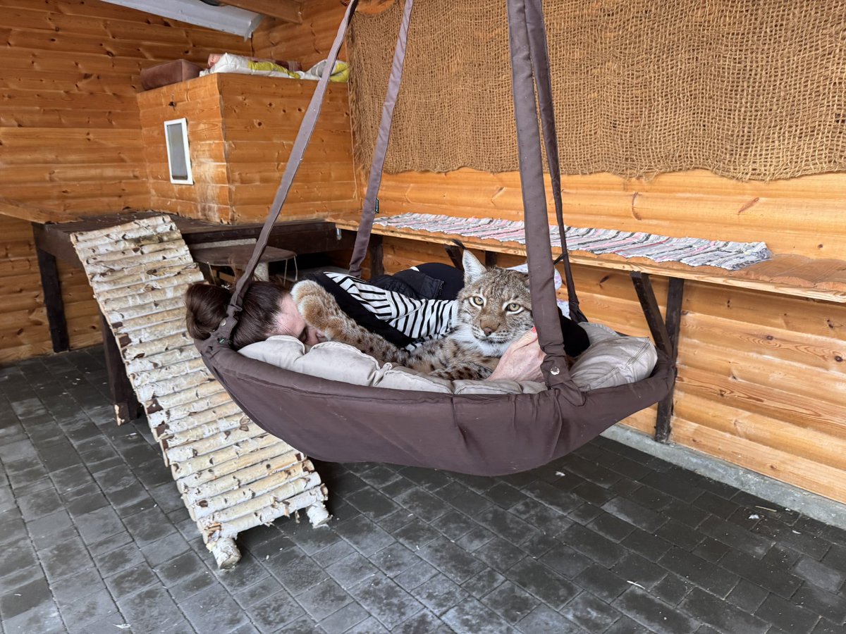 Илья Смолин tweet media