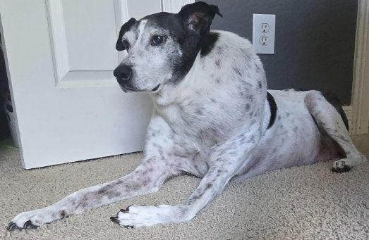 Keith Malinak ATMshow.com tweet media