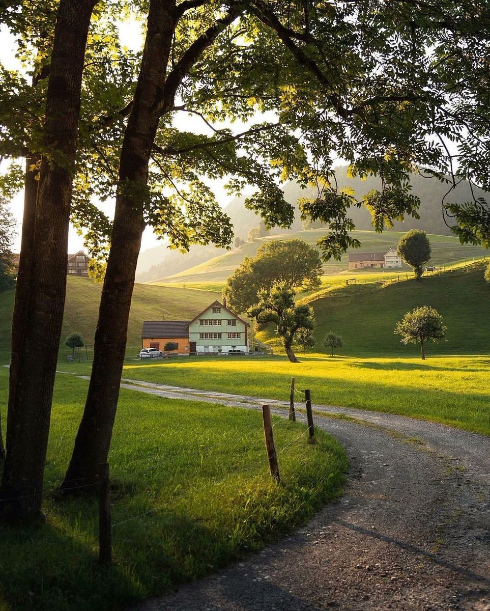 novaworld tweet media