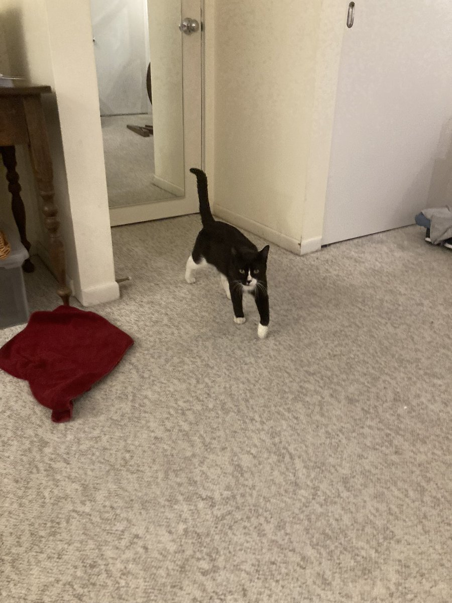 Wendi Taylor Nations tweet media