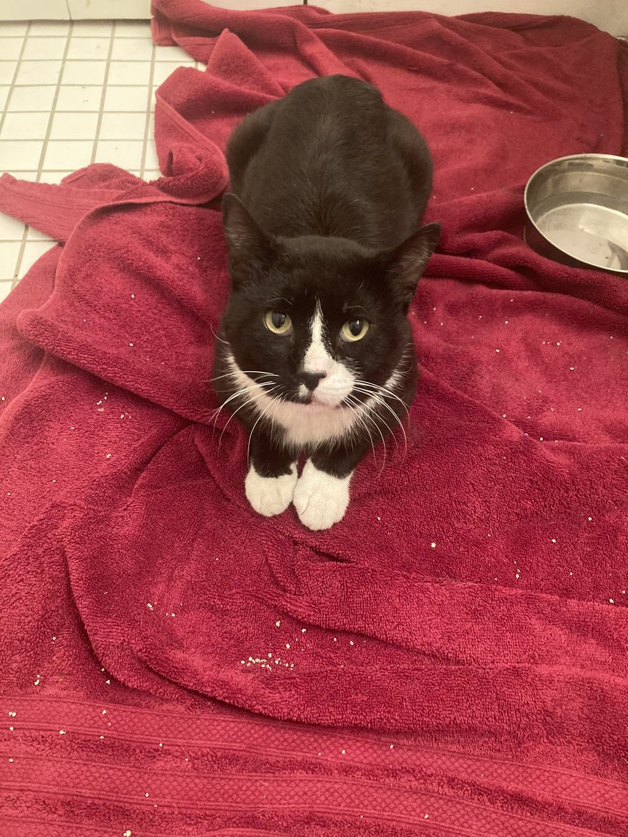 Wendi Taylor Nations tweet media