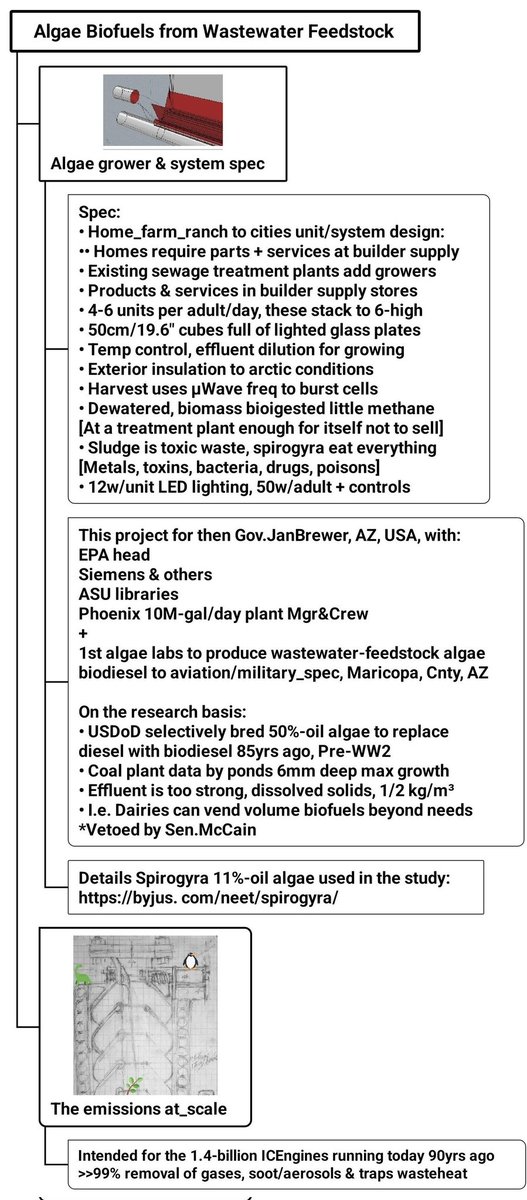 tmallard tweet media