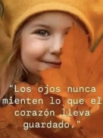 carmen vasquez tweet media