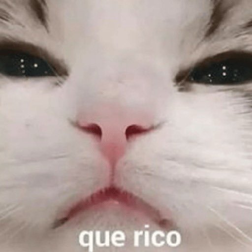 ⑂Џ⑂ Leslie la Muser ⑂Џ⑂ 🇲🇽 tweet media