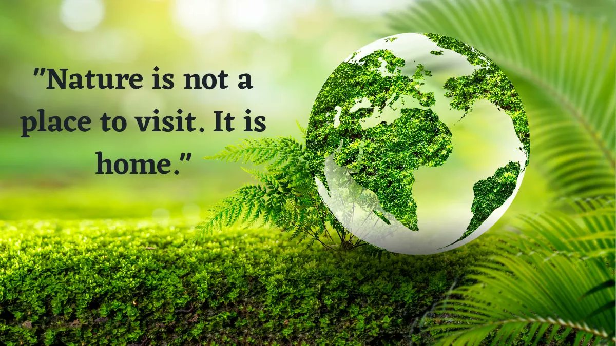ZuhairFaiz917's tweet image. Nature is not just a place to visit, it’s our home. Let’s protect and cherish the world around us, for we are its stewards. #NatureIsHome #ProtectOurPlanet #EcoAwareness #GreenEarth #MIvsPBKS #PapamPrathap #HumnavaWorld #ReleaseAndTreatImranKhan #GoPink