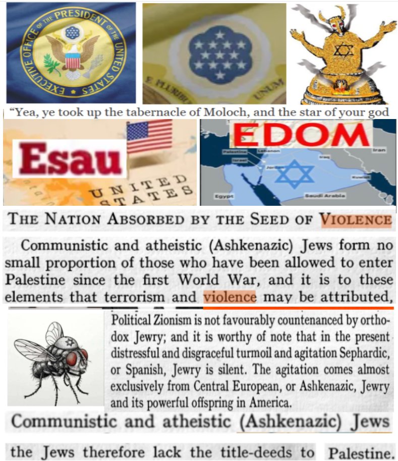 Michael E🍉 tweet media