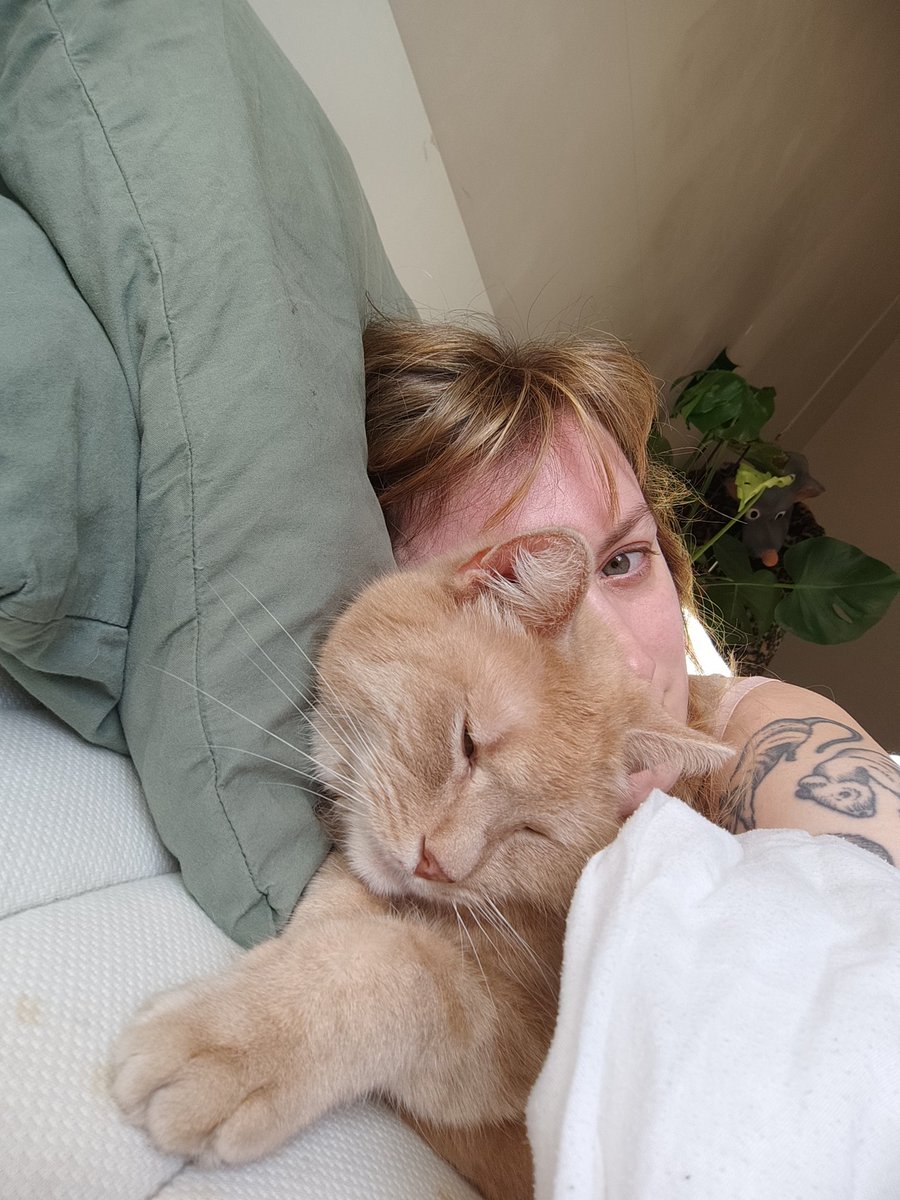 venus flytrap❤️‍🔥 tweet media