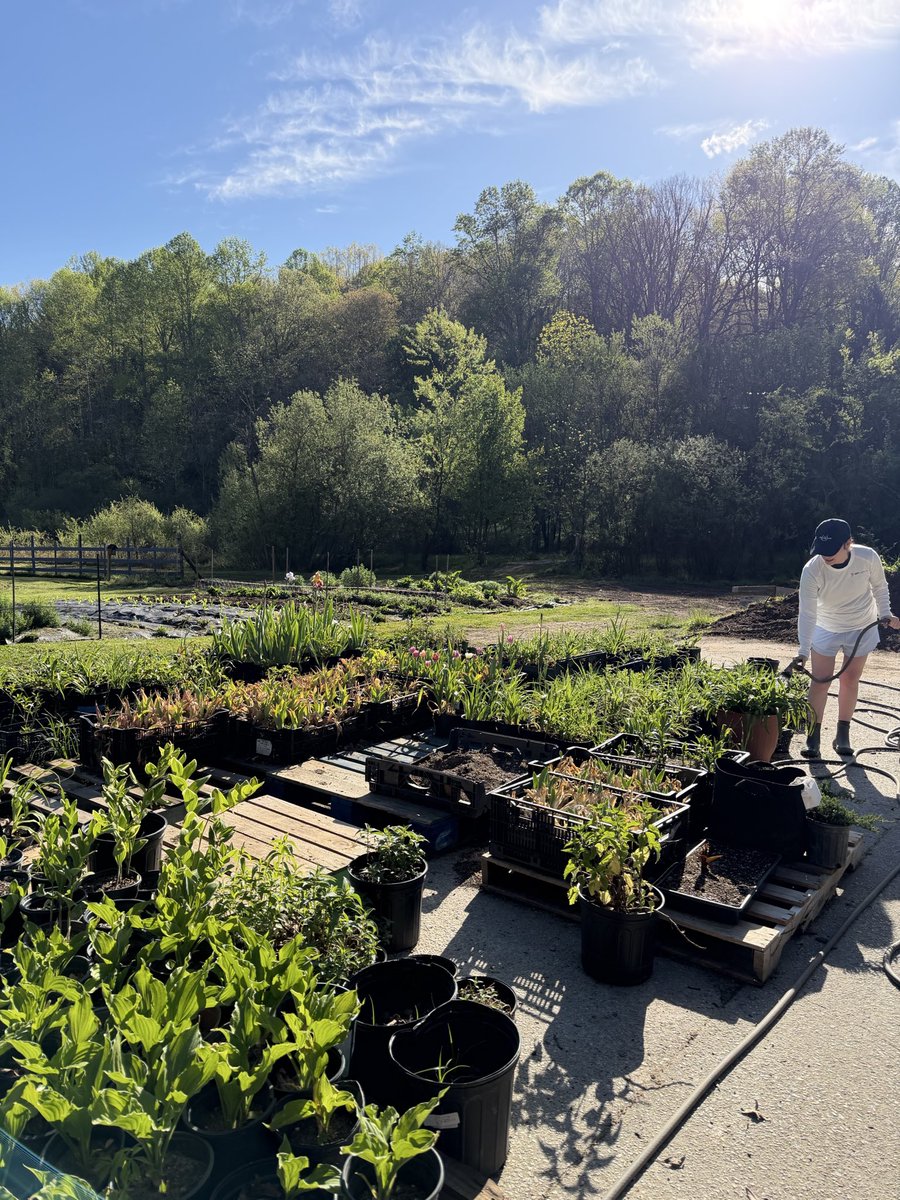 SDVacquisition's tweet photo. This morning, our team volunteered at @veteranshealingfarm 

We also made it official: SDV is committing to a $5000 donation for the next four years to support their work. 

Veterans healing farm is doing something real, and we’re proud to be a part of it! https://t.co/XzmnTr5p4y