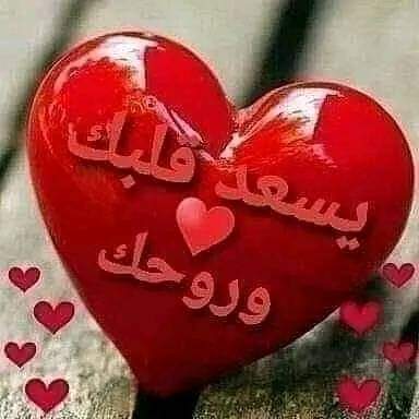 أبو شادي❤❤ tweet media
