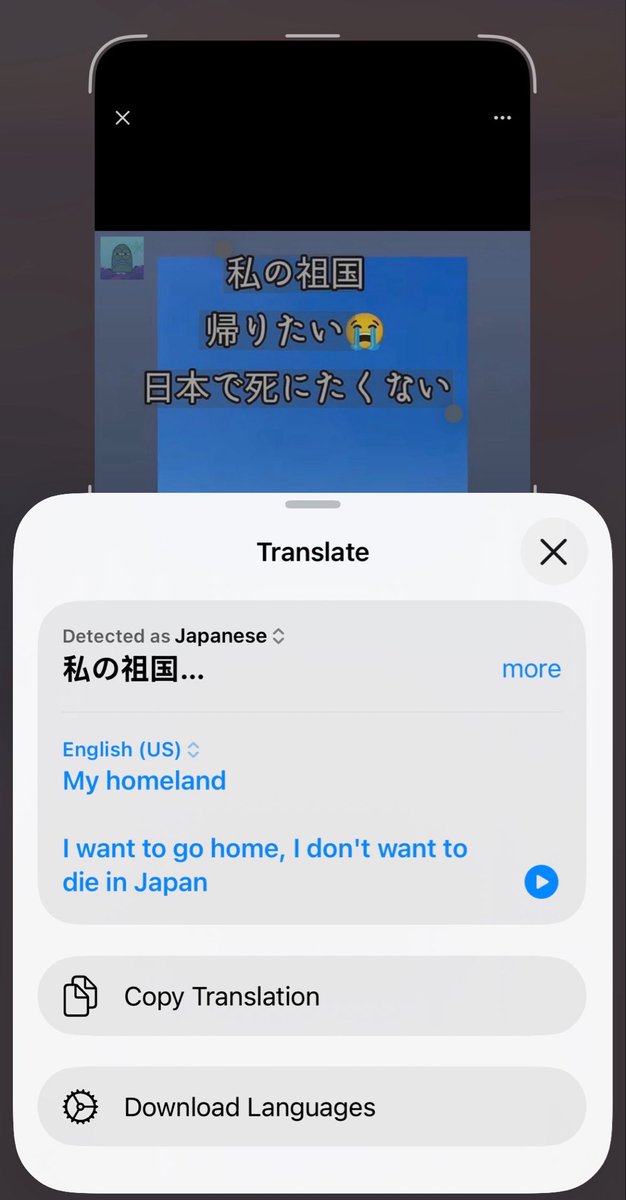 セバットドル tweet media