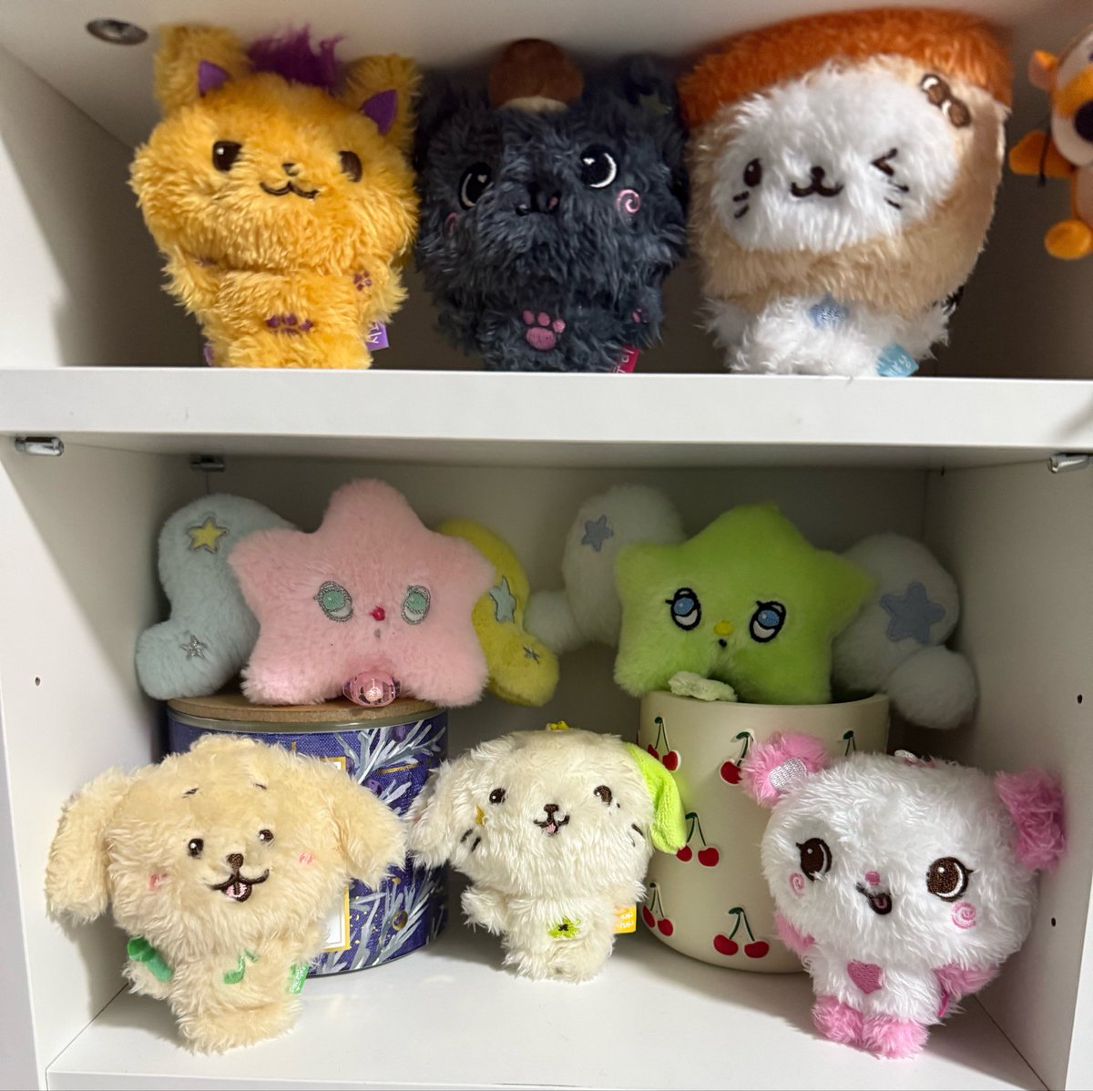 ꒰ა ☆ ໒꒱ tweet media