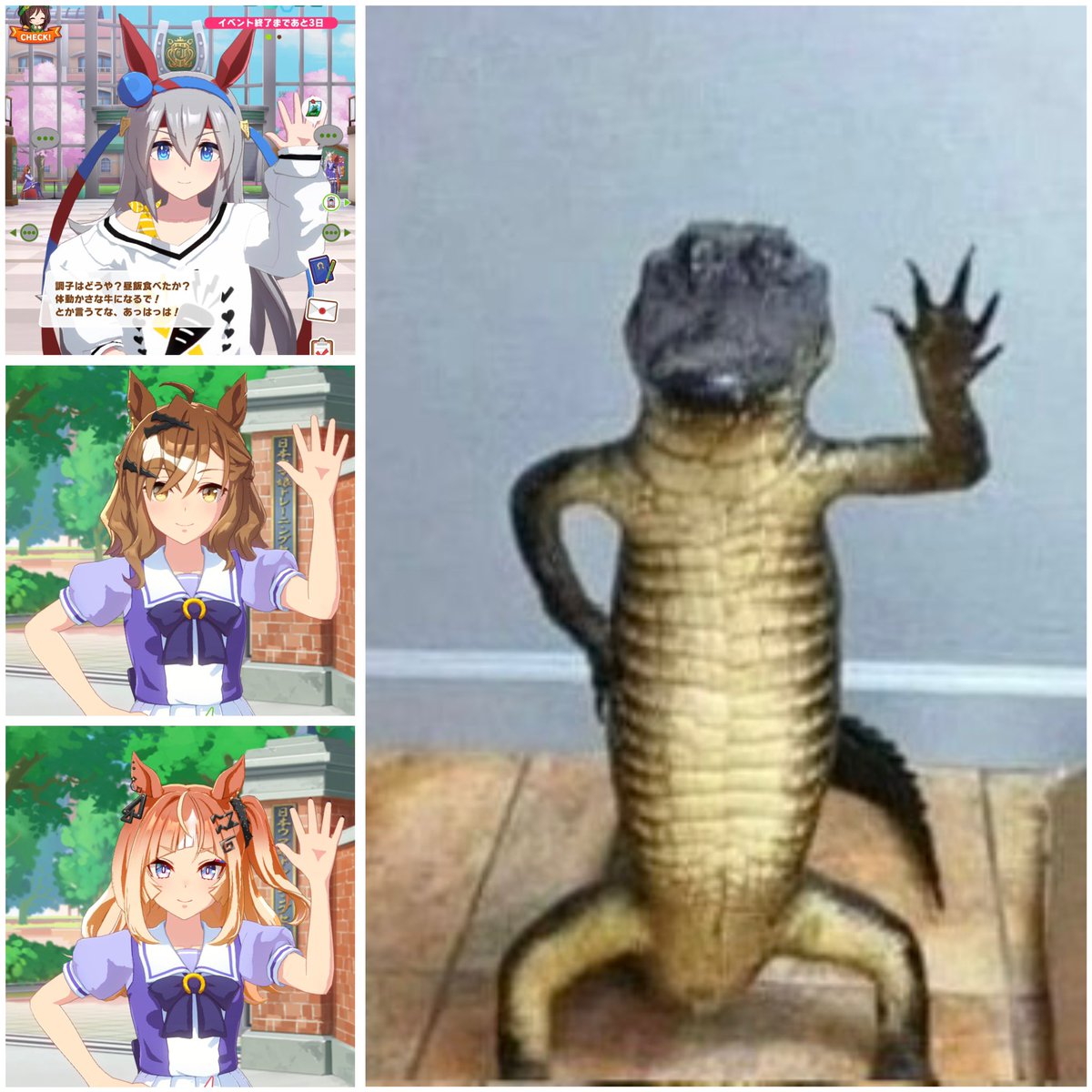 アッキー(二代目) tweet media