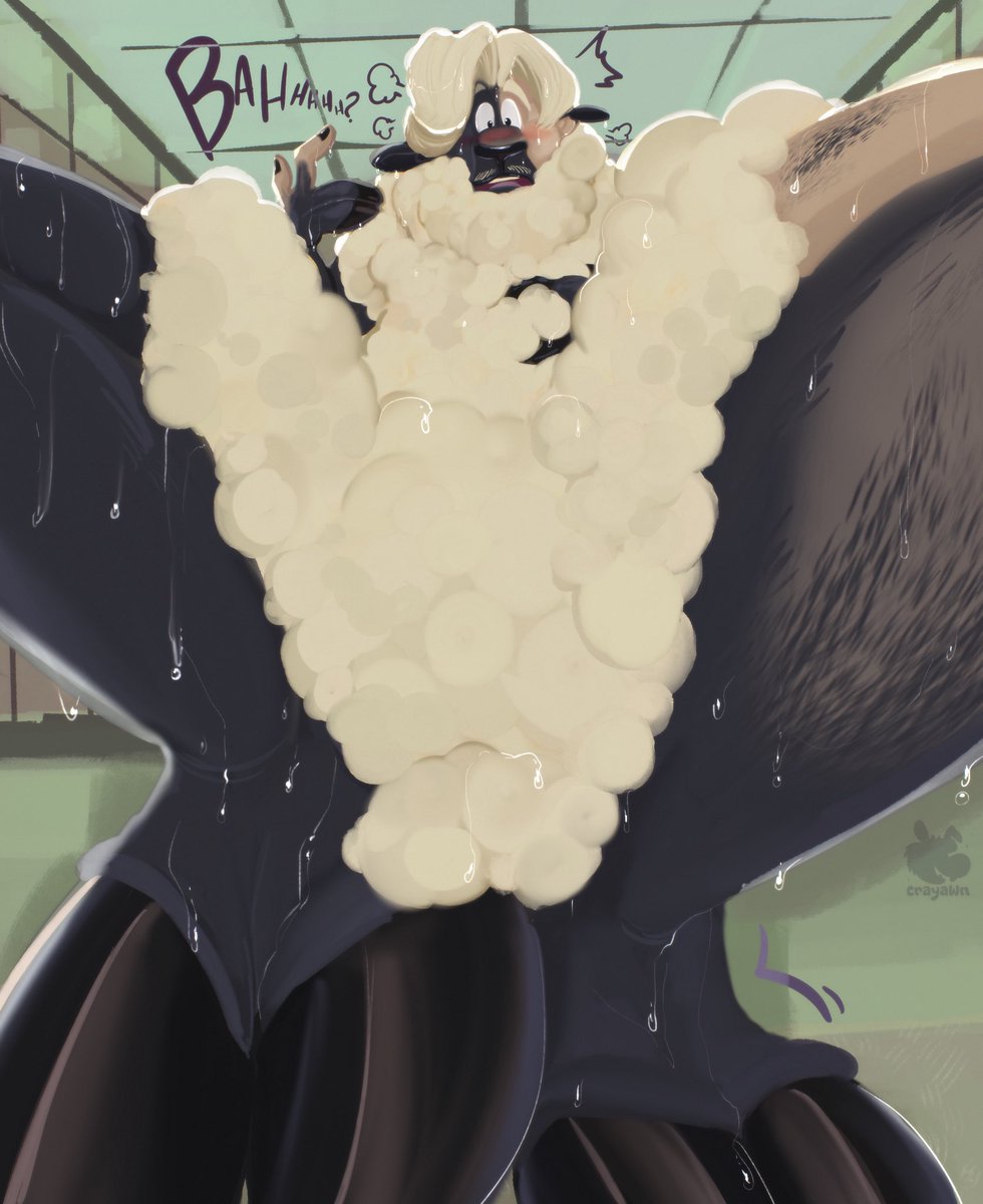 BAHAHHHA!?
That new shampoo really should have warned users of the side effects! 😳🐑🚿
A cute #TF Painterly Commission for @/ho64n.bsky.social on Kofi! ❤️ Thank you so much for your support as always!💕😊
#Sheep #Transformation #Furry #Cartoon 

🌶️Alts: patreon.com/posts/sheep-sh…