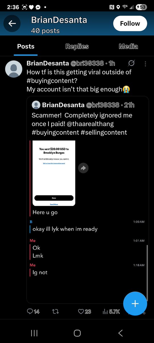 Lady Phoenix tweet media