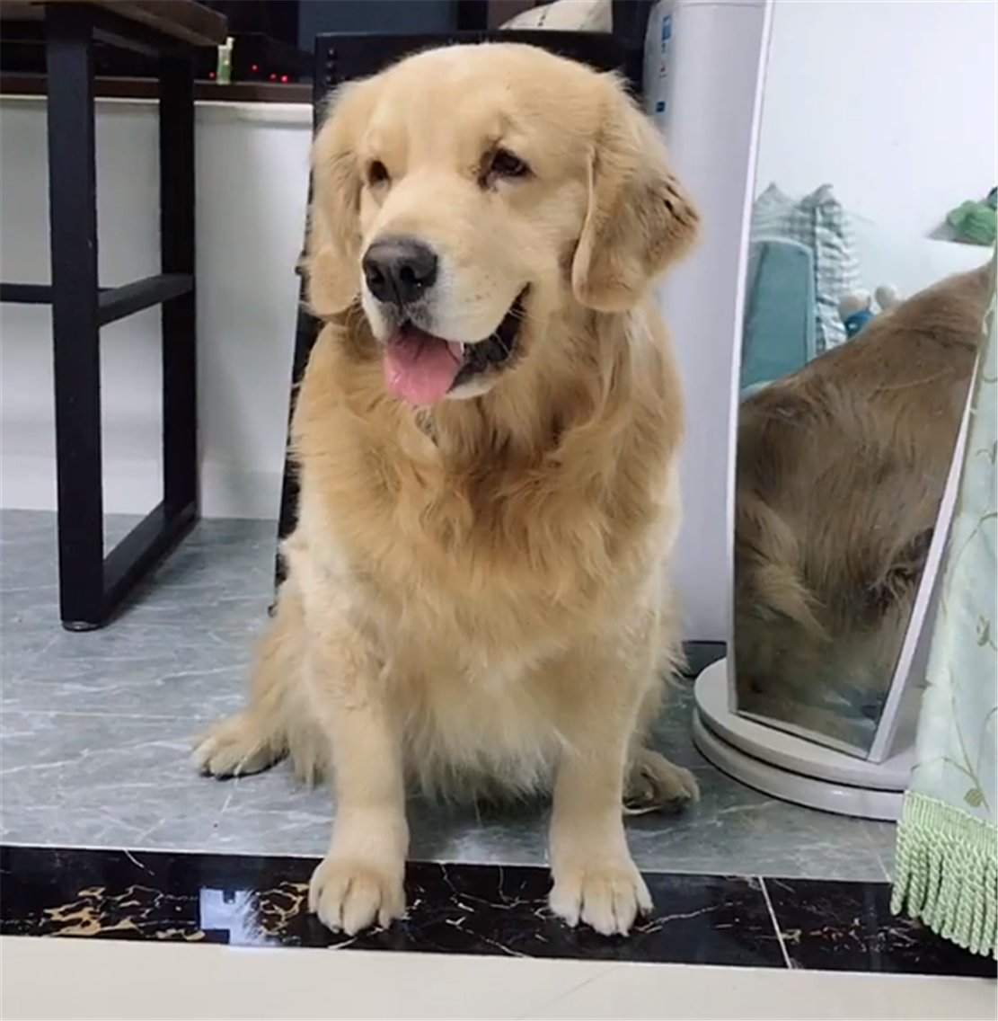 a b b e y 💛 tweet media