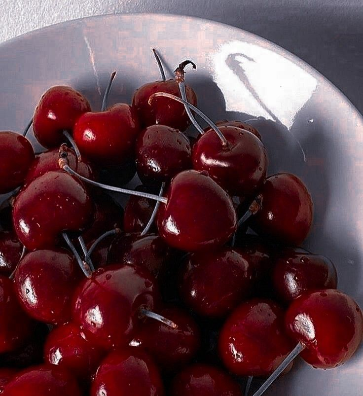 blossom. tweet media