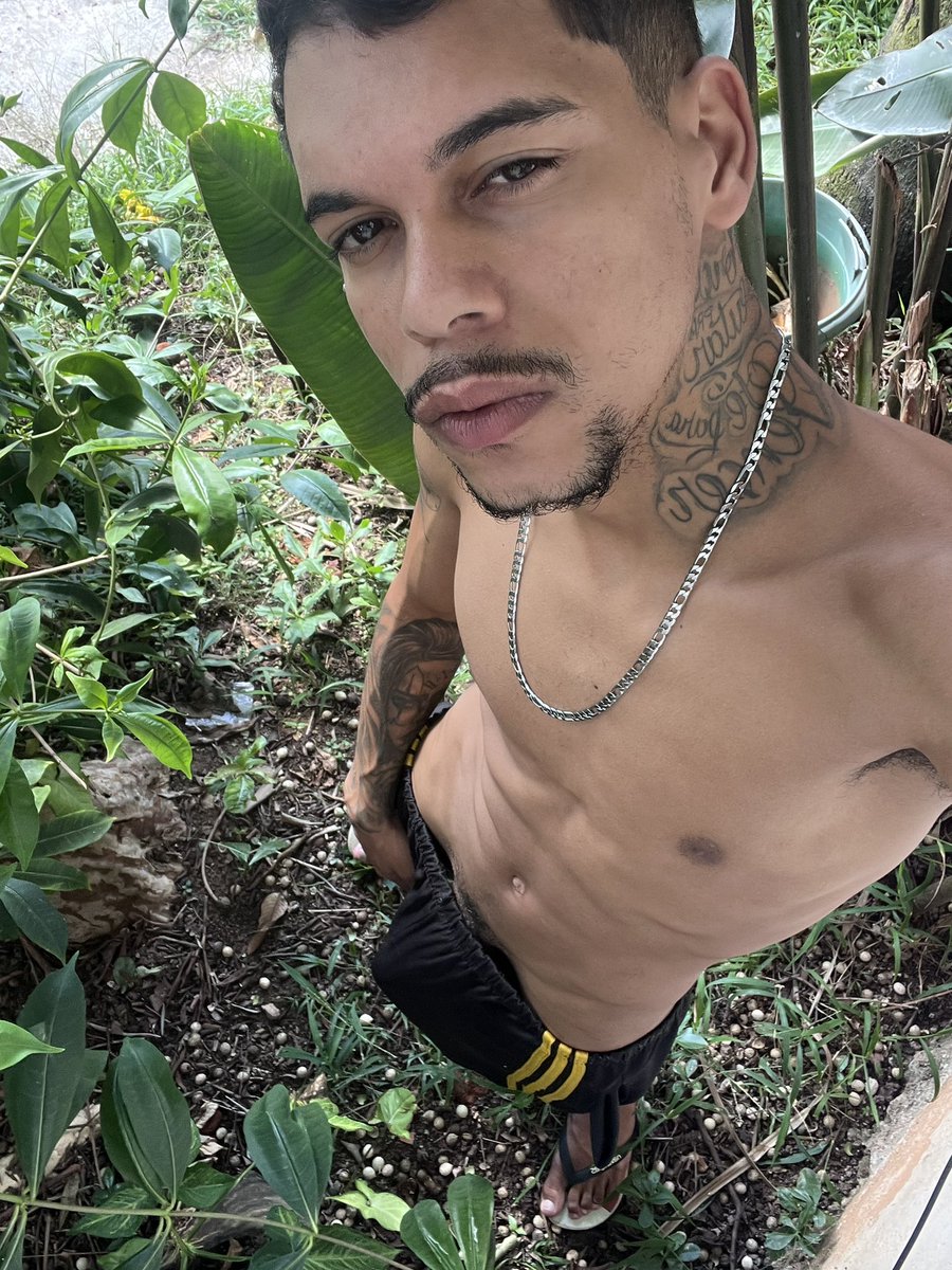 Mendes Rio 🇧🇷 tweet media