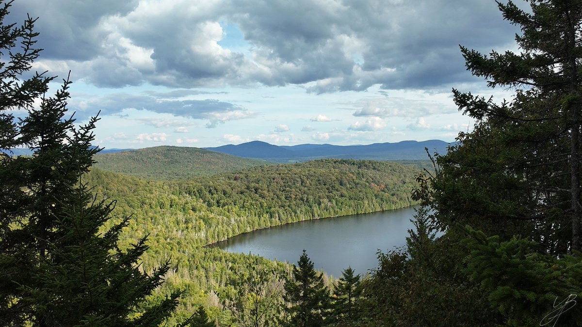 Bir💫n's Phenomenõns tweet media