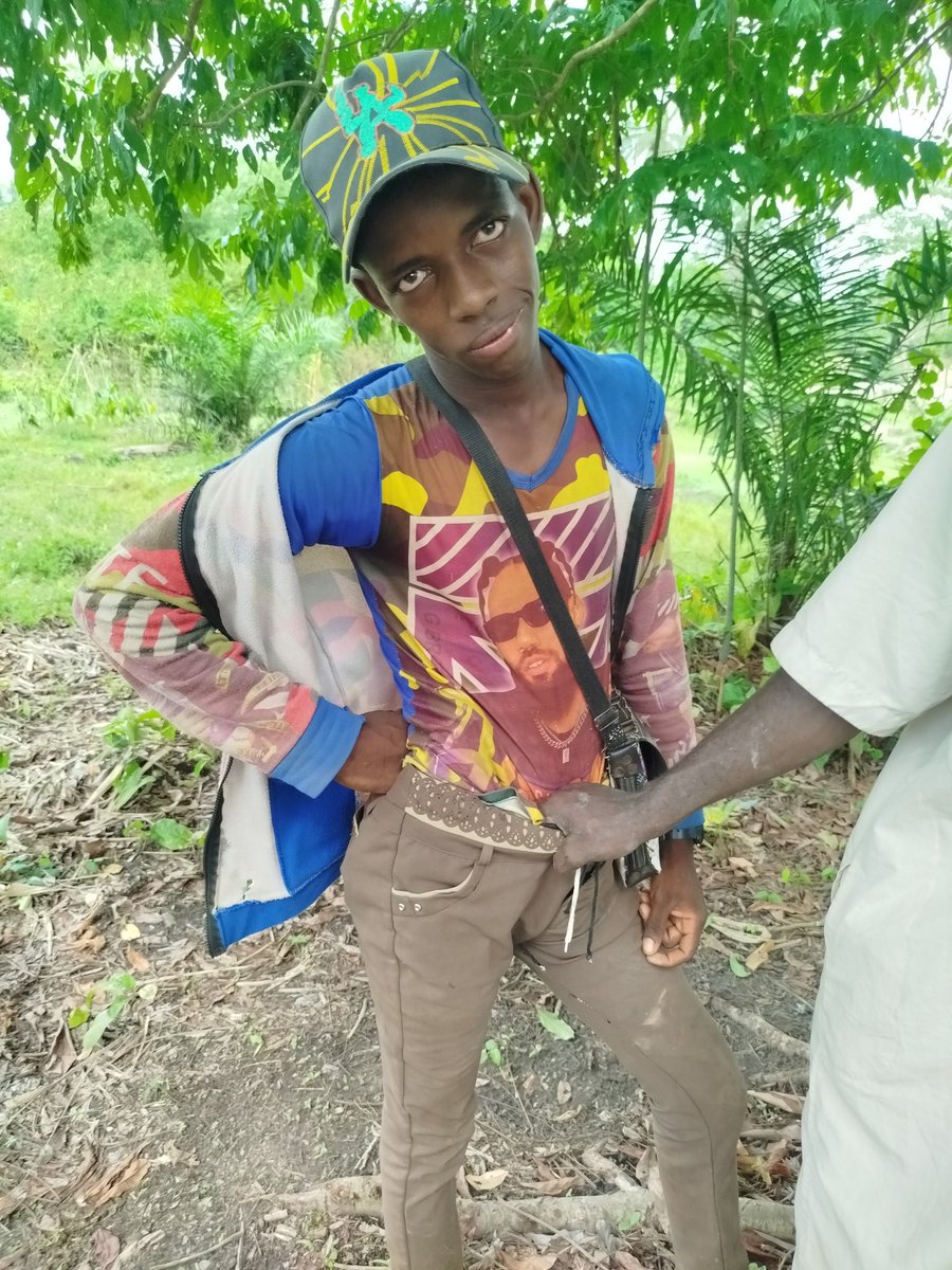 The Nigerian Farmer tweet media