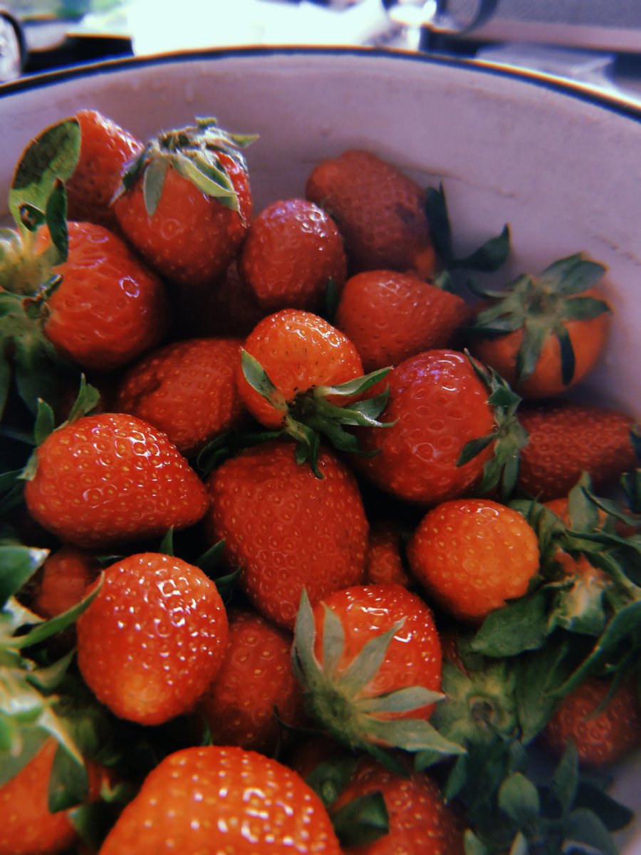 Janek Steifer 🔥 tweet media