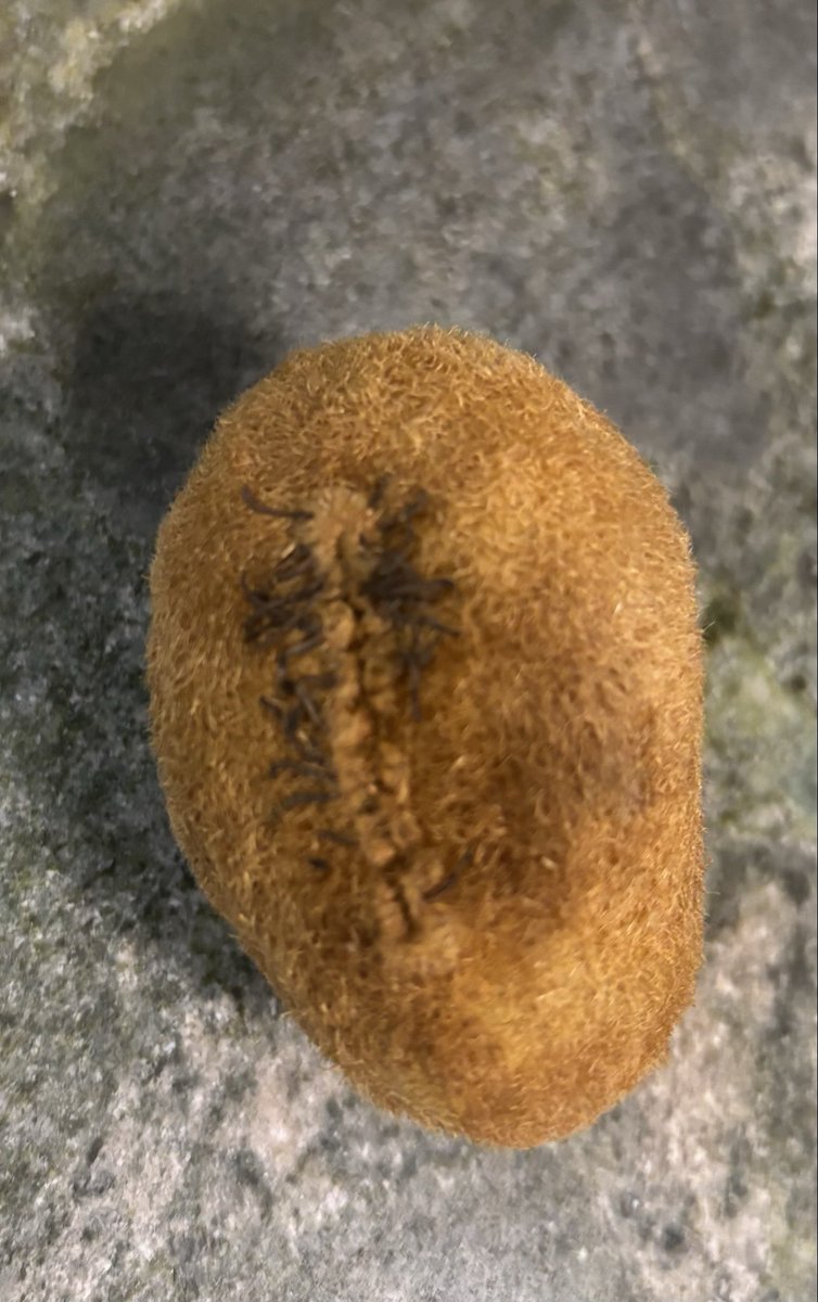 Pedro Monago tweet media