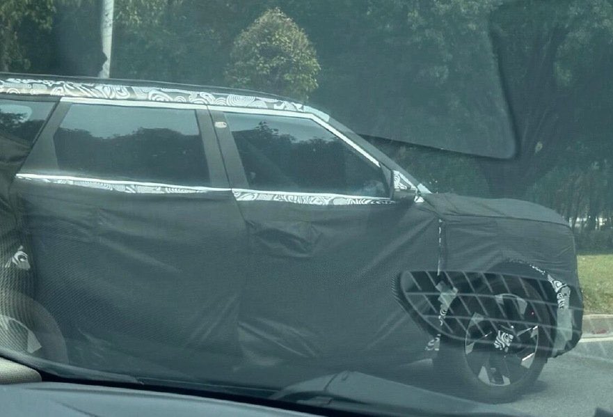 Elvis Will Vexillary 🔋 tweet media