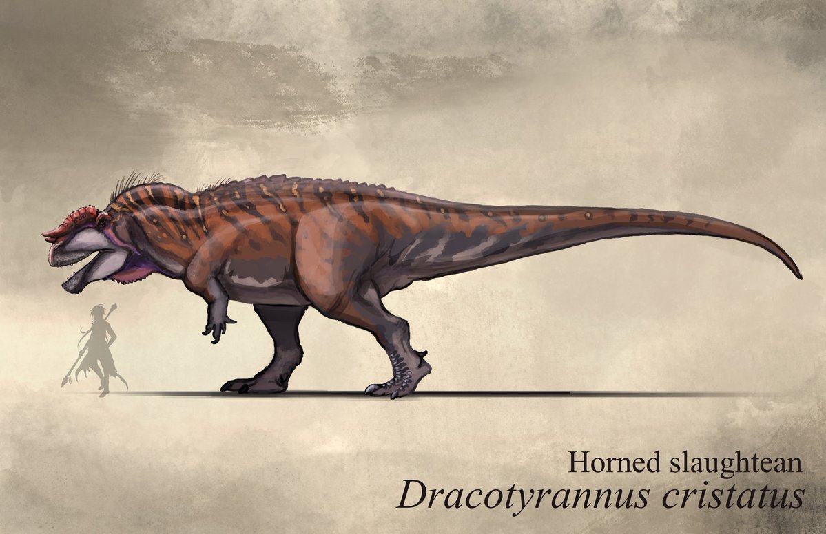 DTakeji's tweet image. Came back to revisit one of my very first apex predator of my Primal’s Heart #speculativeevolution project. 

A large neovenatoridae that convergent carcharodontosauridae in both size and lifestyle.

#dinosaur