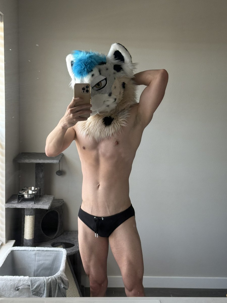 Swifty🔜FWA tweet media