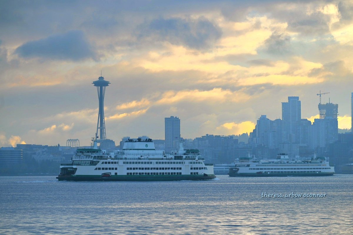 Theresa Arbow-O'Connor tweet media