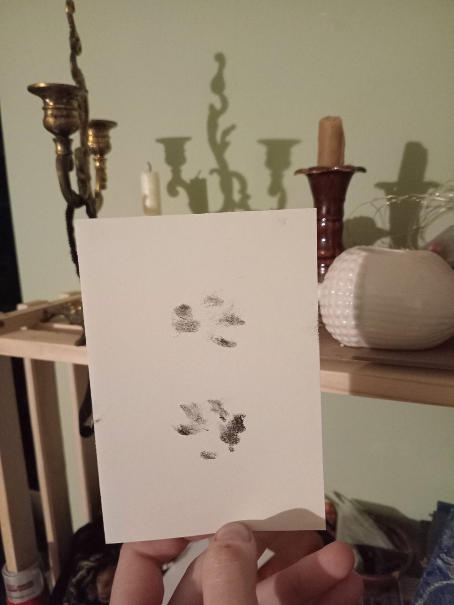 кричить, бо ніхто не спитав про неї, а лишилось п'ять днів

а в неї лапусі отакі маленькі, і куди їй ними надвір?