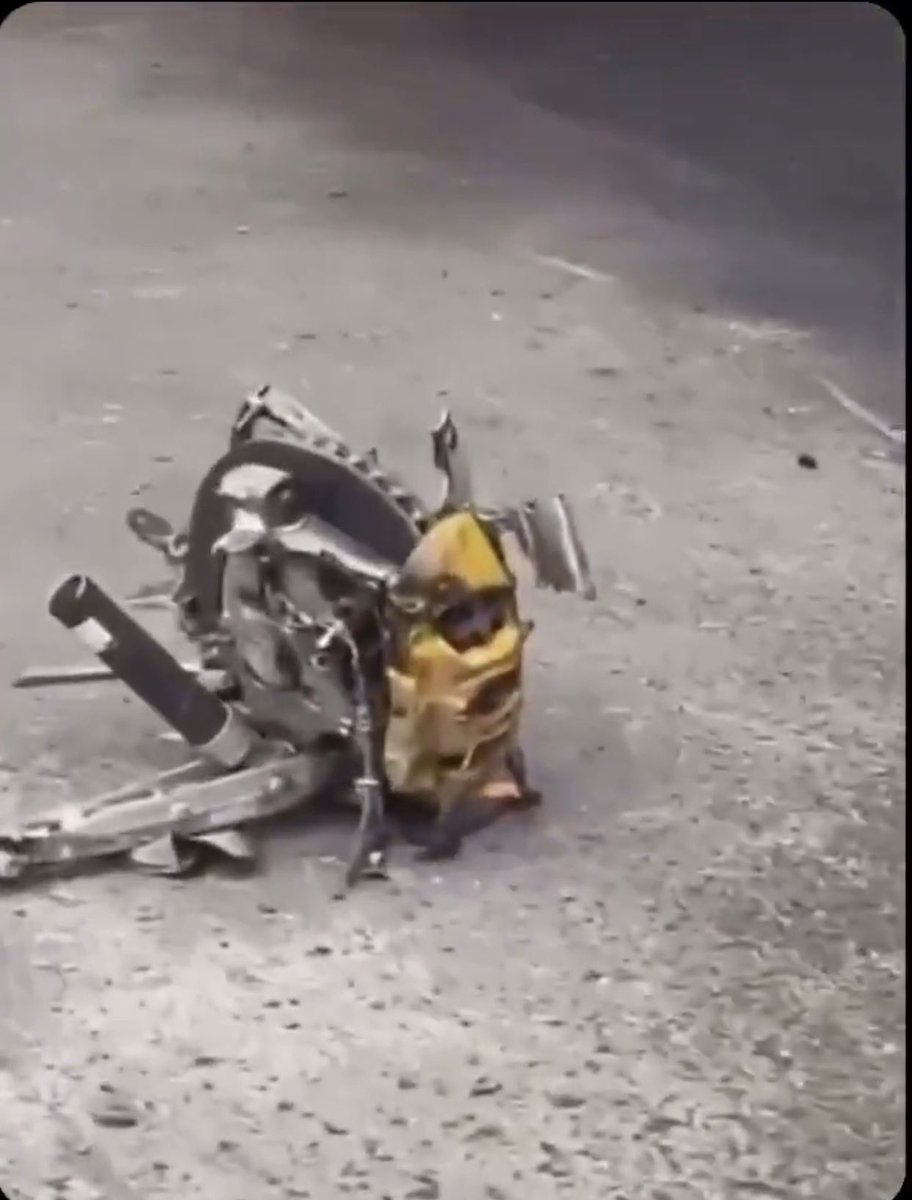 Christian C.🌷🇦🇺 tweet media