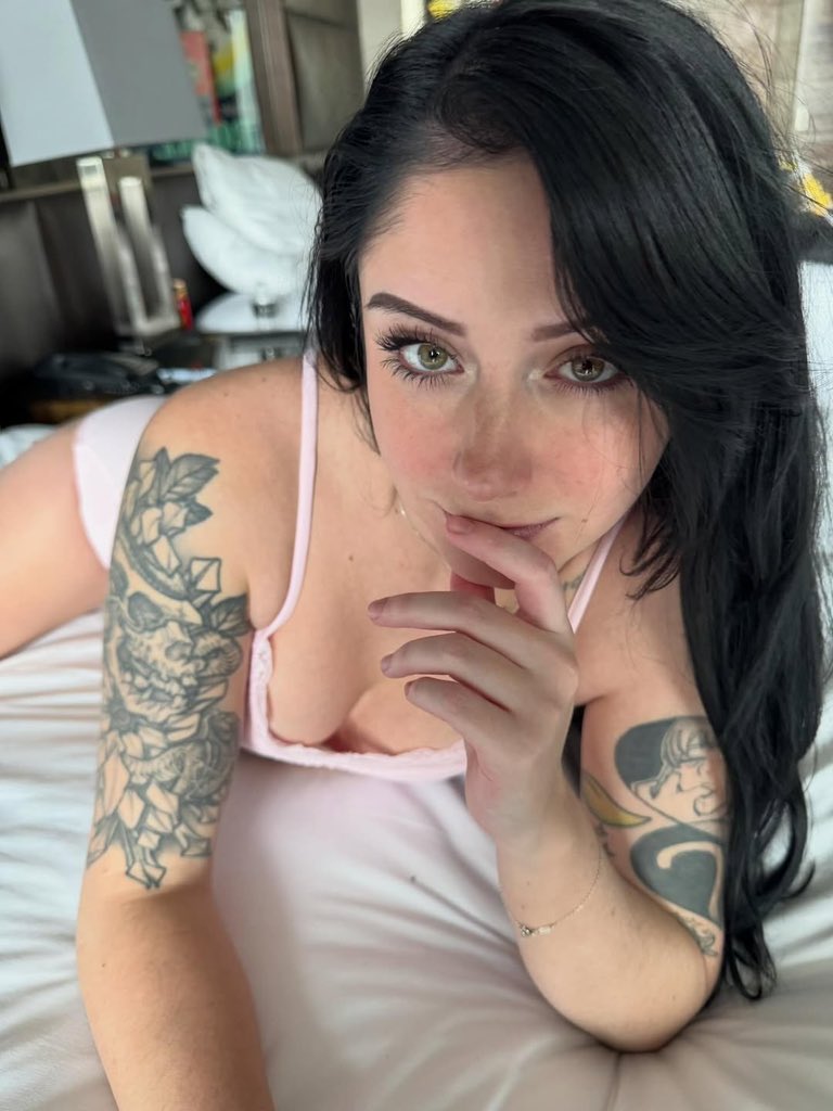 Catarina Secret tweet media