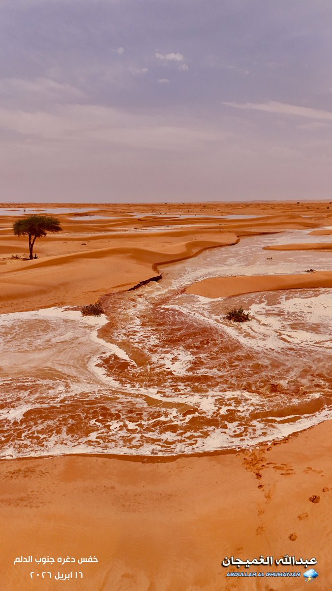 عبدالله الغميجان tweet media