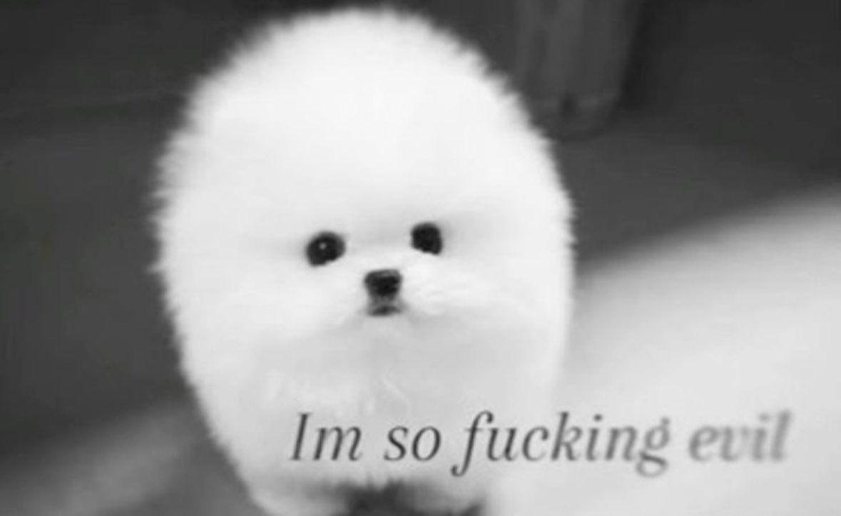 katie♡ tweet media