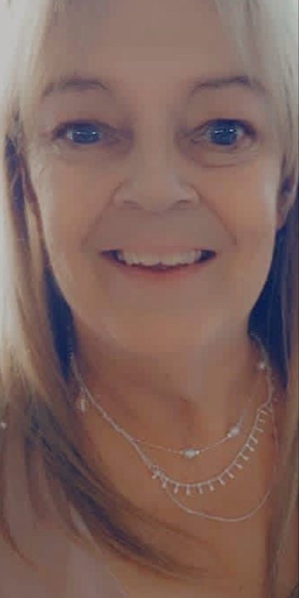 BunBrida tweet media