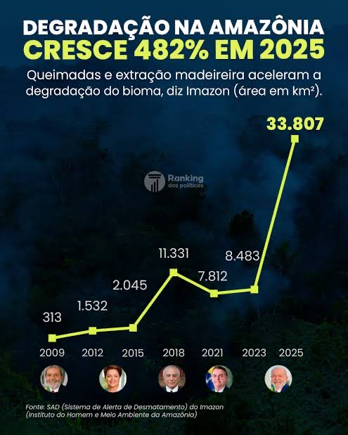 Flavio Garage tweet media