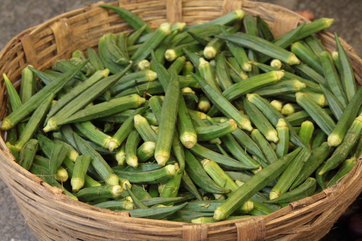 KNOW_BodyBetter's tweet image. “The sliminess is not inherent — it’s a product of preparation.” Amanda uses okra to rethink restrictive interventions in clinical practice. Short, sharp, and worth your read: wix.to/N4ky2uW #BehaviorAnalysis #Ethics  #UnderstandingRestrictiveAversiveInterventionsBlog