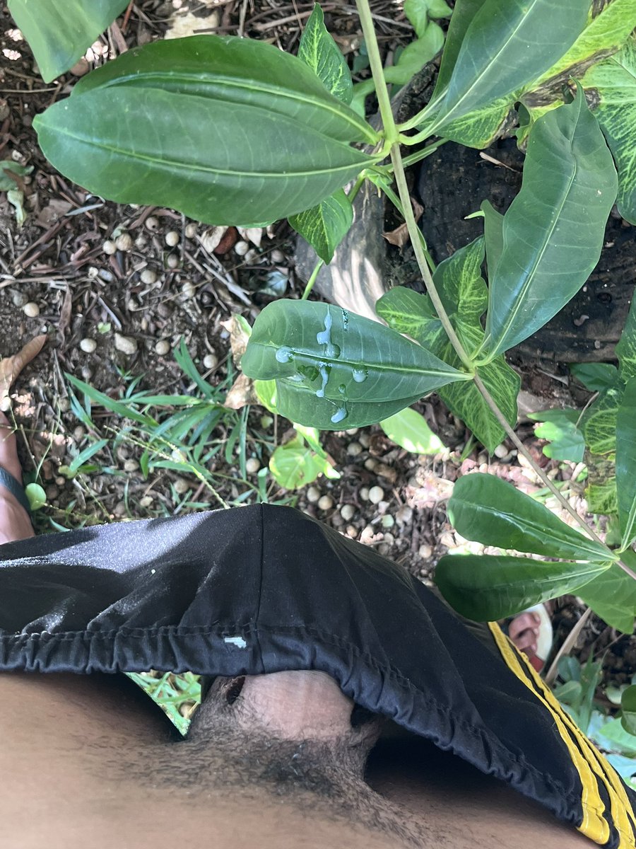 NovinhobiFlex tweet media