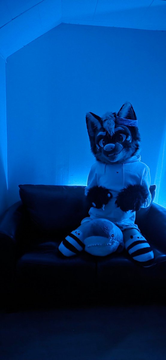 TezziFox tweet media