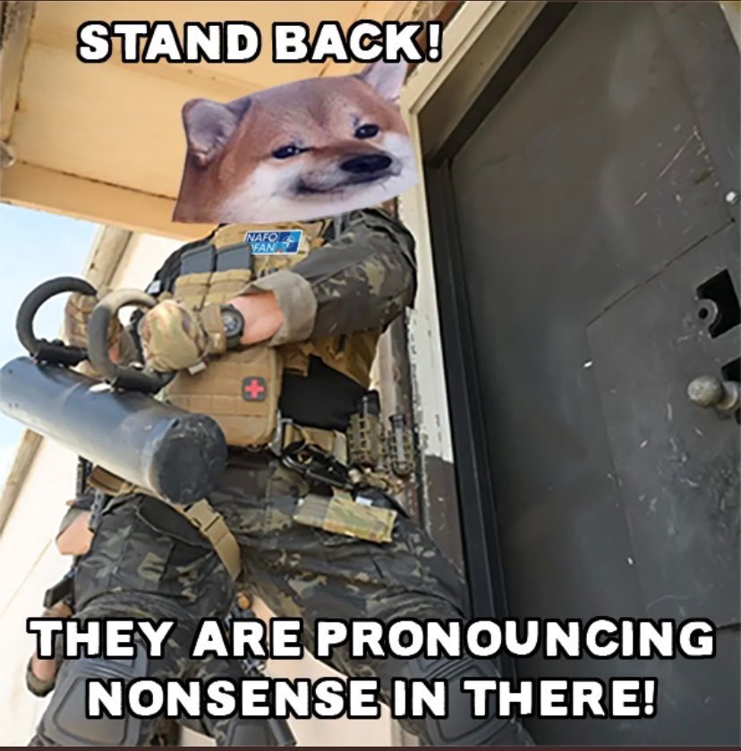 FellaoftheNorth II 🇺🇦🇪🇺🇬🇱 tweet media