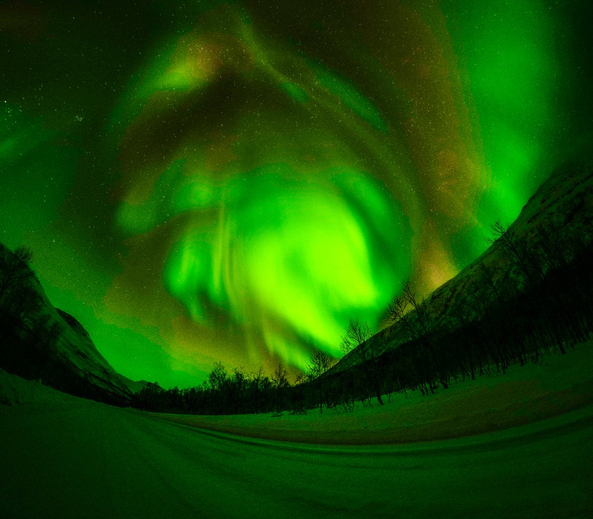 GoPro's tweet image. Photo of the Day: Nature's night light 🌌 Shot on HERO12 Black with Night Photo Mode.

📷 Lukas Sklenarik
🏆 $100 GoPro Award

#GoPro #NorthernLights #AuroraBorealis #AstroPhotography