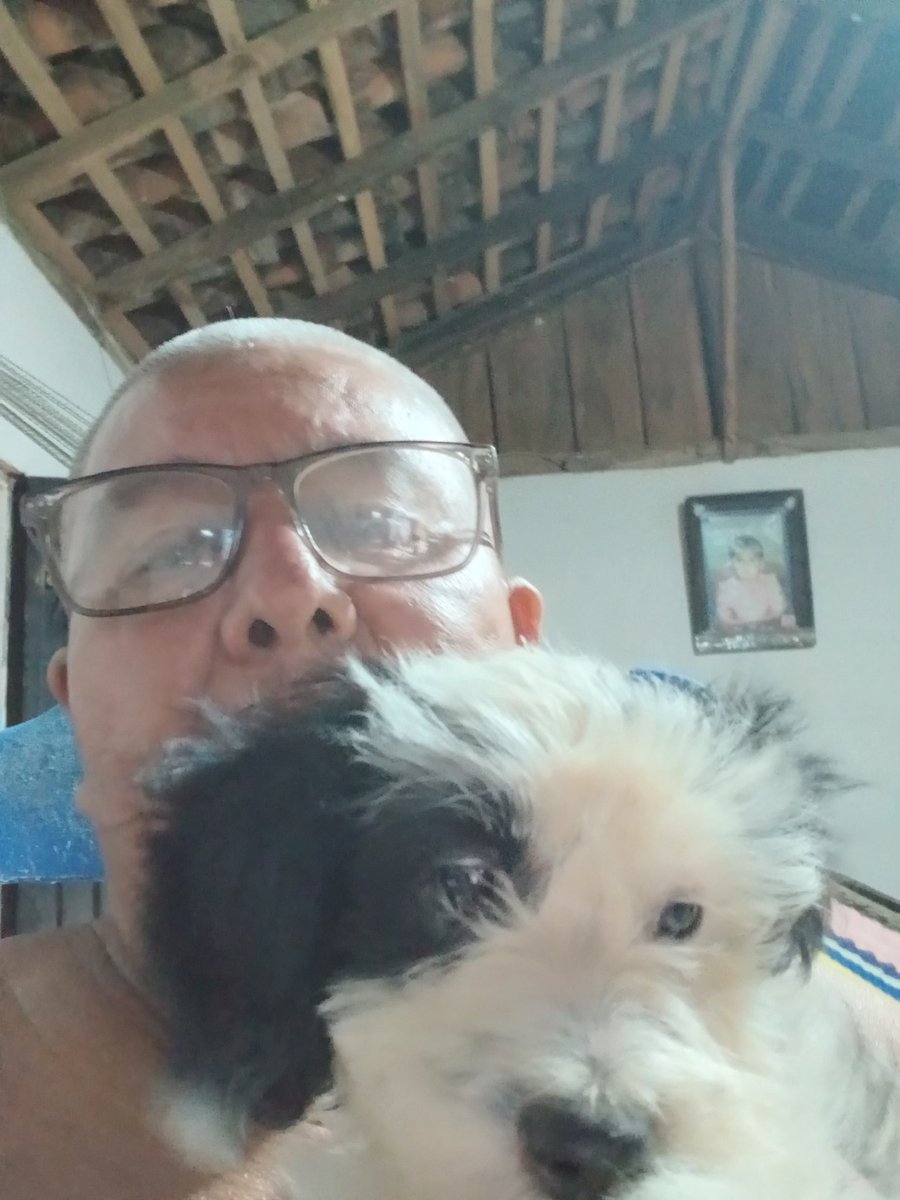 Como un regalo de Dios para acompañar mis días de soledad ese amigo da la alegría de la familia.