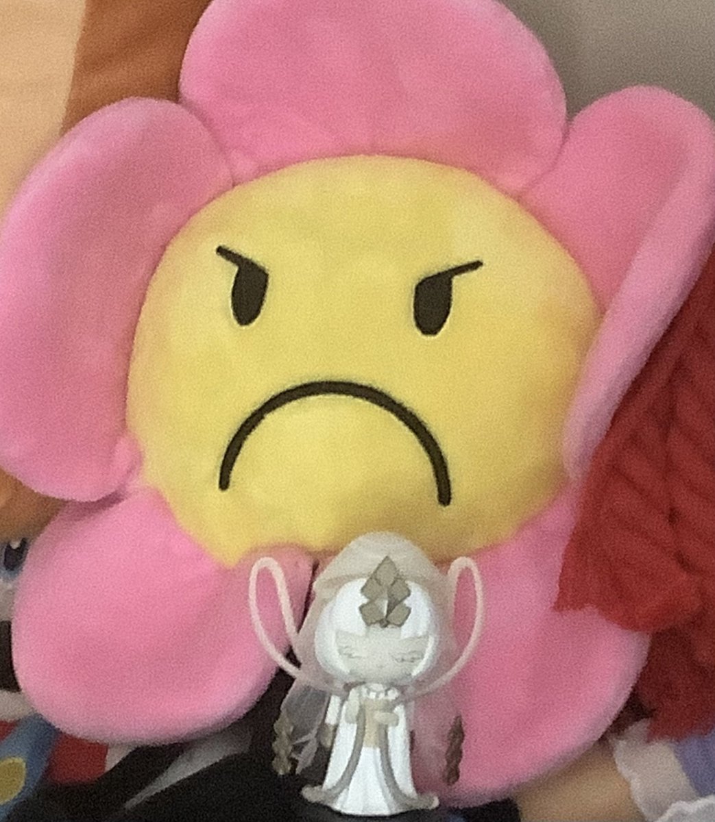 Cody / Aurora tweet media