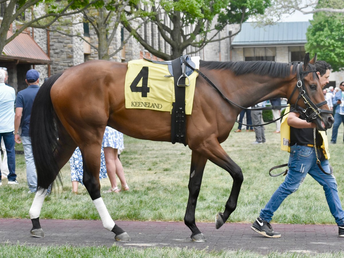 Equitrack tweet media