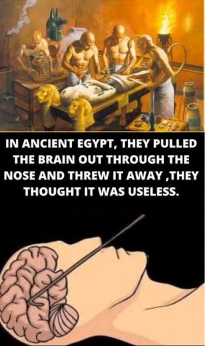 carol is KIND pls stop lying abt me now tweet media