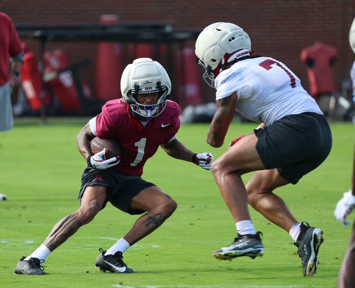 Charlie Potter tweet media