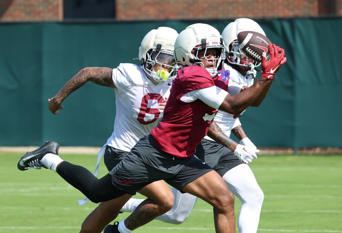 Charlie Potter tweet media