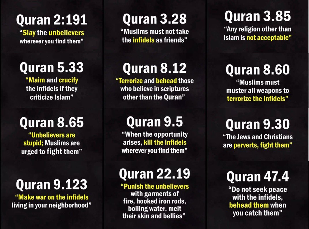 Michelle tweet media