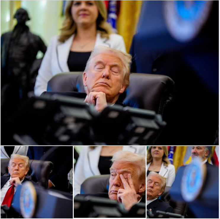 Santi Rivera D. tweet media