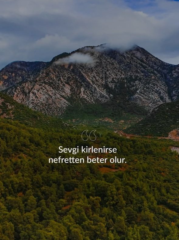 1anadolubeyfendisi tweet media